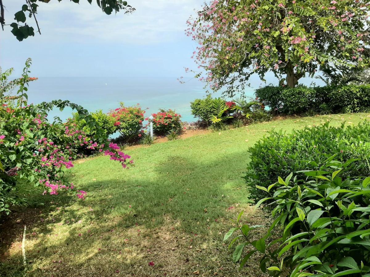 Beach Condos -Montego Bay Club Beach Resort Экстерьер фото